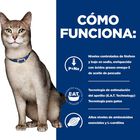 Hill's Prescription Diet Kidney Care Salmão saqueta em molho para gatos, , large image number null
